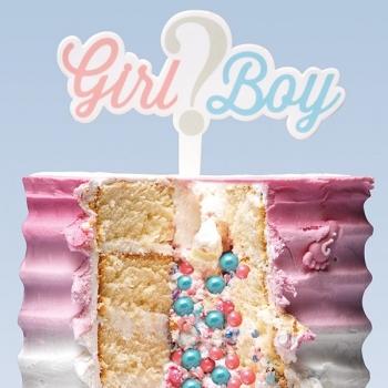 Cake Topper - Girl ? Boy